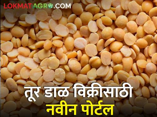 Online portal for registration, purchase and payment of pigeon pea producer farmers | तूर डाळ उत्पादक शेतकऱ्यांना नोंदणी, खरेदी आणि शुल्कभरणा साठी ऑनलाईन पोर्टल