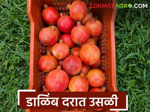 Pomegranate prices surge in Atpadi market committee; How did the price per kilo get determined? | आटपाडीच्या बाजार समितीत डाळिंबाच्या दरात उसळी; किलोला कसा मिळाला दर?
