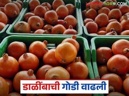 Dalimb Bajar Bhav : Pomegranate got the highest price in Indapur Market Committee; How did it get the price? | Dalimb Bajar Bhav : इंदापूर बाजार समितीमध्ये डाळींबाला मिळाला सर्वाधिक भाव; कसा मिळाला दर?