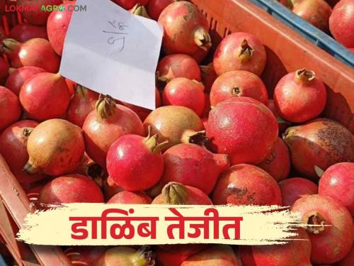 Dalimb Bajarbhav: Price of Pomegranate Rs 300 in Mangalvedha market committee | Dalimb Bajarbhav: मंगळवेढा बाजार समितीत डाळिंबाला ३०० रुपयांचा दर