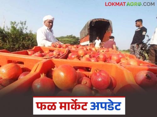 Latest News Fruit arrivals have decreased, mangoes also goodbye, fruit Market details | फळांची आवक घटली, आंब्यानेही निरोप घेतला, 'या' फळांना चांगला दर मिळतोय? 