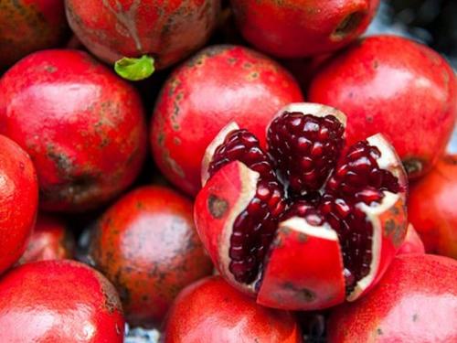 pomegranates disease in Jat taluka of Sangali | जत तालुक्यात रिमझिम पावसामुळे डाळिंबावर बिब्या !