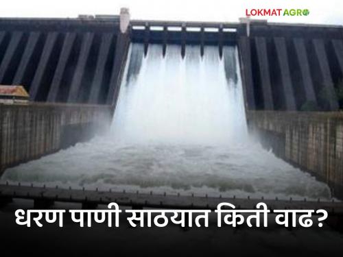 Maharashtra Dam Discharged : How much water storage in the dam? | Maharashtra Dam Discharged : राज्यातील धरणात आहे तरी किती पाणी?