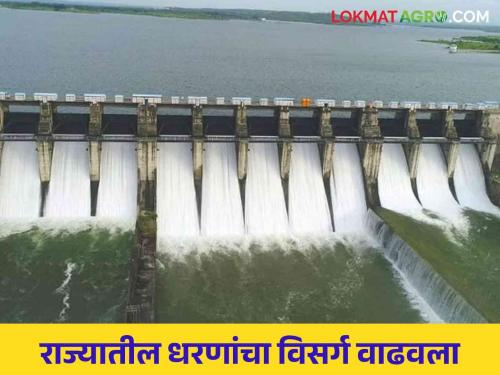 Latest News Maharashtra Dam Discharged Highest discharge from Hatnur, Gosekhurd dam see details | Maharashtra Dam Discharged : हतनूर, गोसेखुर्द धरणातून सर्वाधिक विसर्ग, वाचा राज्यातील प्रमुख धरणांतील विसर्ग 