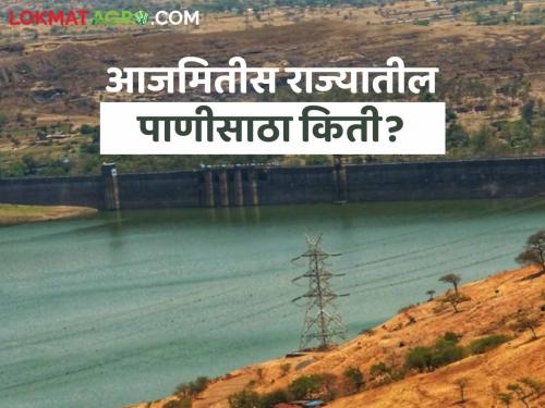 Latest News Maharashtra Dam Storage 07 dams in maharashtra at 90 percent read in detail  | Maharashtra Dam Storage : राज्यातील 07 धरणे 90 टक्क्यांवर, कुठे-काय परिस्थिती, वाचा सविस्तर 