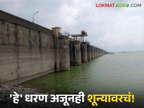 Latest News Maharashtra dam Storage these dam zero percent few dam is 100 percent full, read in detail  | Maharashtra Dam Storage : राज्यातील 'हे' धरण अजूनही शून्य टक्के... तर ही धरणे 100 टक्के भरली, वाचा सविस्तर 