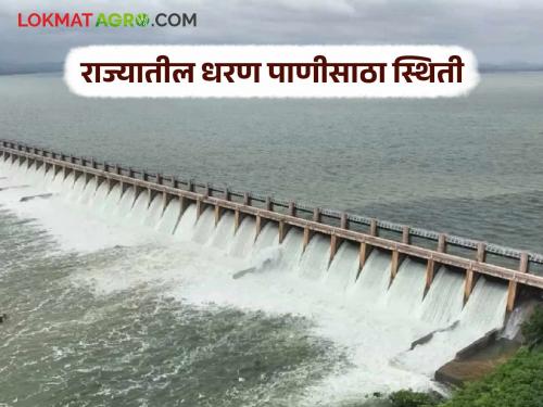 Latest News Maharashtra Dam 23 major dams including Ujani are 100 percent full, see situation till September 28 | Maharashtra Dam : उजनीसह 23 मोठी धरणे 100 टक्के भरली, 28 सप्टेंबरपर्यंतची परिस्थिती पहा 