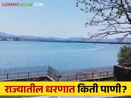 Latest News maharashtra dam storage How much water storage major dams of maharashtra Know in detail  | Maharashtra Dam Storage : राज्यातील प्रमुख धरणांमध्ये किती पाणी आलं? जाणून घ्या सविस्तर 