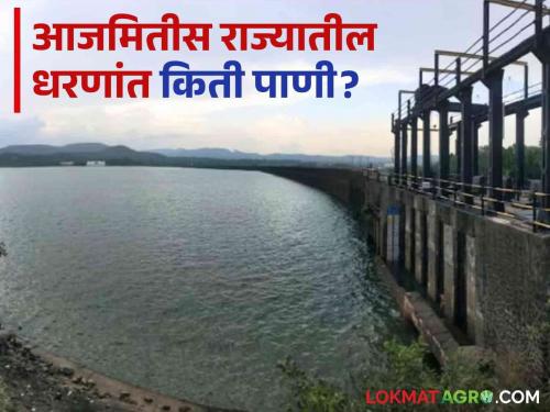 Latest News Maharashtra Dam Storage Water storage in major dams of the state is 68 percent see details | Maharashtra Dam Storage : राज्याच्या धरणांमधील पाणीसाठा 'इतक्या' टक्क्यांवर, मराठवाड्याची स्थिती काय?