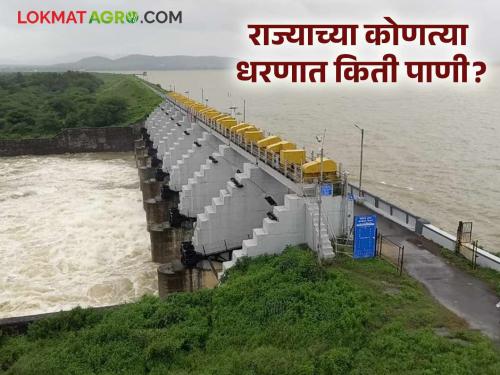 Latest News Dam Storage How much water has accumulated in Jayakwadi, Ujani, Gangapur dams | जायकवाडी, उजनी, गंगापूर धरणांत किती पाणीसाठा जमा झाला? वाचा धरणांची स्थिती 
