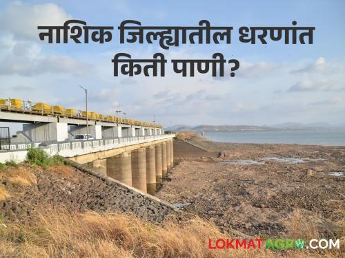 Latest News 8.14 percent water storage in the dam in Nashik district see details | Nashik Dam Storage : 08 कोरडीठाक, 08 धरणे 05 टक्क्यांच्या आत, वाचा नेमकं किती पाणी शल्लक 