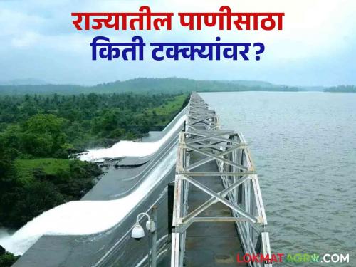 Latest News Maharashtra Dam Storage these eight dams filled 100 percent, read other dams water storage | Maharashtra Dam Storage : राज्यातील 'ही' आठ धरणे 100 टक्के भरली, वाचा इतर धरणांत किती पाणी? 