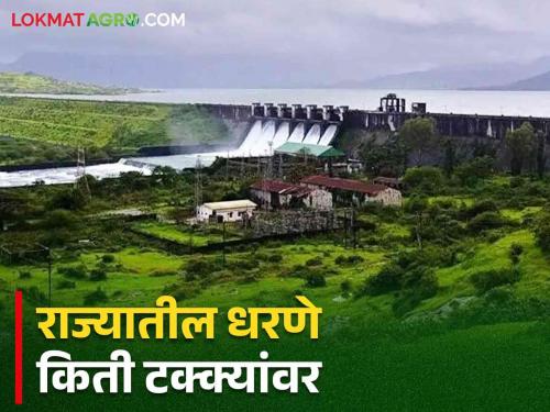 Latest News Increase in water level of gangapur, jayakawadi, ujani, koyana dams in maharashtra see details | Maharashtra Dam Storage : राज्यातील धरणांच्या पाणीपातळीत वाढ; जाणून घ्या आज किती पाणीसाठा?