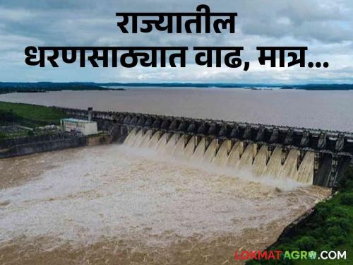 Latest News Todays Gangapur, koyana, gosikhurd, jayakwadi dam storage check near dam storage | Maharashtra Dam Storage : राज्यात पाऊस, उत्तर महाराष्ट्रातील धरणे तहानलेलीच, वाचा सविस्तर 