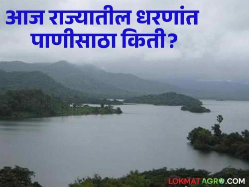 Maharashtra Dam Storage todays which dam water storage increased check here details | Maharashtra Dam Storage : राज्यातील कुठले धरण भरले, कोणत्या धरणातून विसर्ग, वाचा धरणातील आजचा पाणीसाठा 