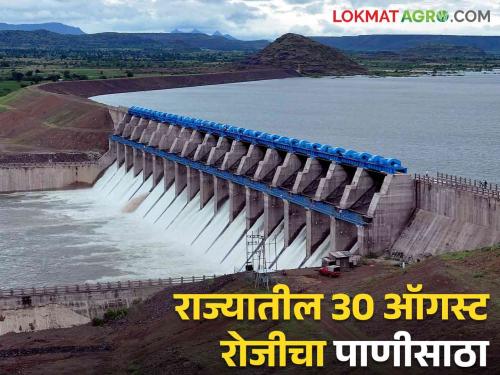 Latest news Maharashtra Dam Storage todays 30 august 2024 how much water in maharashtra dam see details | Maharashtra Dam Storage : राज्यातील अनेक धरण भरली, आज 30 ऑगस्ट रोजी धरणांत किती पाणीसाठा? 