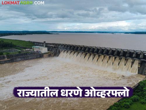 Dams in the state are 90 percent full; How much water has been stored in which department? | राज्यातील धरणे ९० टक्के भरली; कोणत्या विभागात झाला किती पाणीसाठा?
