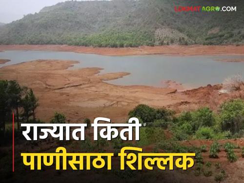 Latest News Check daily Water storages of dams in Maharashtra see dam list | Maharashtra Dam Storage : तुमच्या जवळच्या धरणांत किती पाणी शिल्लक? वाचा संपूर्ण यादी