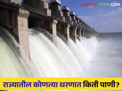 Maharashtra Dam Storage : How much water storage in Jaikwadi, Ujni, Koyna and other dams? Read detailed information | Maharashtra Dam Storage : जायकवाडी, उजनी, कोयनासह इतर धरणात किती पाणीसाठा? वाचा सविस्तर माहिती