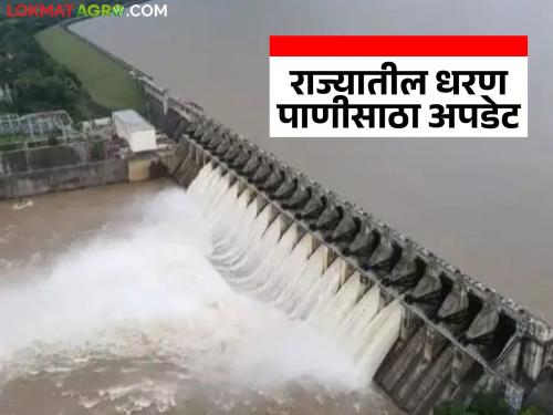Latest News 11 dams of maharashtra are 100 percent full, read dam water storage | Maharashtra Dam : राज्यातील 11 मोठी धरणे काठोकाठ भरली, वाचा कुठल्या धरणांत किती पाणी? 