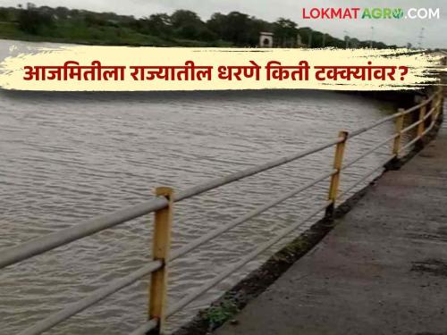 Latest News maharashtra dam Storage Some dams in Maharashtra are 100 percent full see details | Maharashtra Dam Storage : राज्यातील धरणे फुल्ल होण्याच्या मार्गावर, आज 31 ऑगस्ट रोजीचा पाणीसाठा 