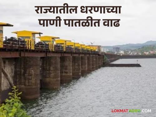 Latest News Maharashtra Dam Storage how much water storage of dams in your district of maharashtra read in detail | Maharashtra Dam Storage : राज्यात सर्वदूर मुसळधार, तुमच्या जिल्ह्यातील धरणांचा पाणीसाठा किती? वाचा सविस्तर 