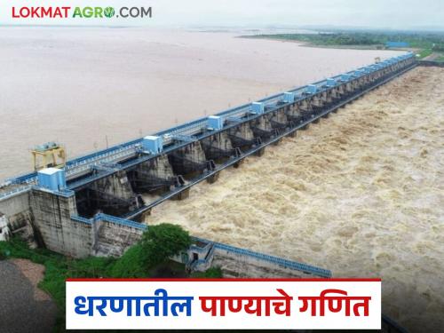 Latest news How is water storage in dams measured and what is cusec, TMC | धरणांमधील पाणीसाठा कसा मोजला जातो, क्युसेक,टीएमसी म्हणजे काय? 