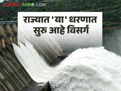 Maharashtra Dam Water Release Update: Water release from 'this' dam in the state continues; Read the update | Maharashtra Dam Water Release Update : राज्यातील 'या' धरणातून सुरू आहे पाण्याचा विसर्ग; वाचा अद्यावत माहिती