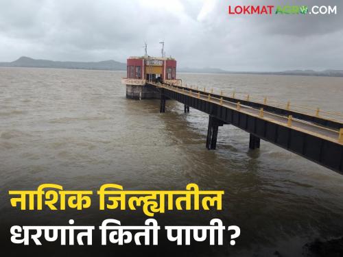 Latest News Gangapur dam 81 percent, how much water is stored in dams in Nashik district, read in detail | Nashik Dam Storage : गंगापूर 81 टक्क्यांवर, नाशिक जिल्ह्यातील धरणांत किती पाणीसाठा, वाचा सविस्तर 