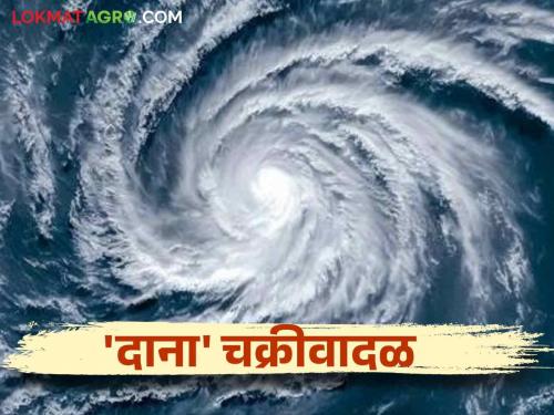 Dana Cyclone : What will be the effect of Cyclone 'Dana' on Maharashtra? Read in detail | Dana Cyclone : 'दाना' चक्रीवादळाचा महाराष्ट्रावर काय होईल परिणाम? वाचा सविस्तर