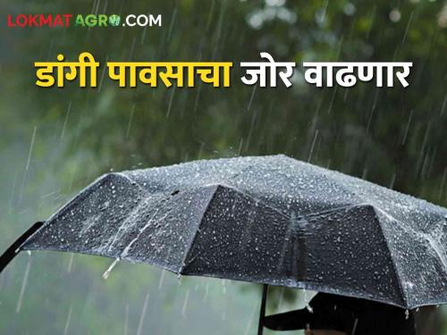 Latest News Dangi rain will increase in North Maharashtra, see monsoon update | Rain In North Maharashtra : उत्तर महाराष्ट्रात डांगी पावसाचा जोर वाढणार, कुठे-कुठे पडणार पाऊस? 