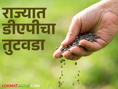 It is unaffordable to import this fertilizer, which is in high demand by farmers; what is the reason? | शेतकऱ्यांकडून मोठ्या प्रमाणावर मागणी असलेल्या या खताची आयात परवडेना; काय आहे कारण?