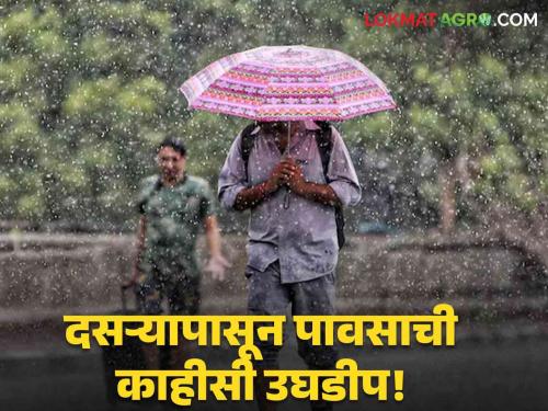 Latest News Maharashtra Rain Update light rain in 18 district for five days from Dasara Read in detail  | Maharashtra Rain Update : दसऱ्यापासून पाच दिवस 'या' जिल्ह्यांत पावसाचा अंदाज काय? वाचा सविस्तर 