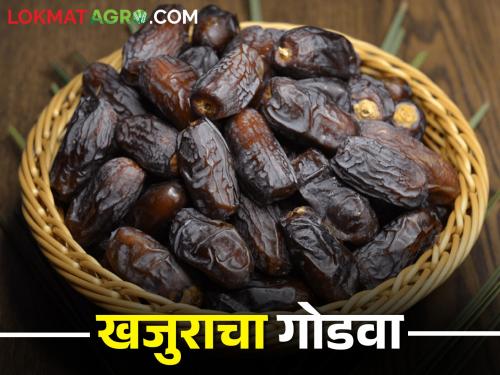 Ramadan from today; Different 40 types of dates have come in the market.. The market price is getting like this | आजपासून रमजान; बाजारात आले विविध ४० प्रकारचे खजूर.. असा मिळतोय बाजारभाव?