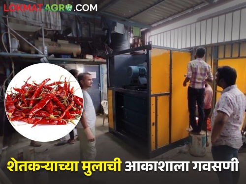 Chili stem removal machine made by a farmer's son is appreciated from all over the world including India. | शेतकऱ्याच्या पोरानं केलं महिलांचं काम सोपं! मिरचीचे देठ वेगळं करण्याची मशीन बनवत...