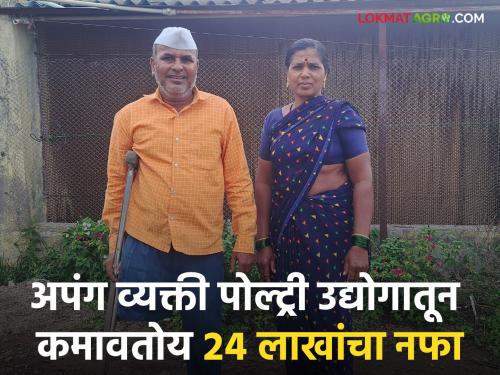 Pune junnar aurangpur handicap Uttam Dukare Poltry Farm Success Story | Poultry Success Story : वयाच्या १० व्या वर्षी अपंगत्व येऊन पोल्ट्री व्यवसायातून हा शेतकरी कमावतोय २४ लाखांचा नफा