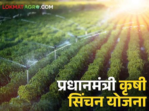 PM krushi sinchan yojna: Small and marginal farmers get 55 percent subsidy for irrigation, know all information | सिंचनासाठी अल्प- अत्यल्प भूधारक शेतकऱ्यांना मिळते ५५ टक्के अनुदान, जाणून घ्या सर्व माहिती