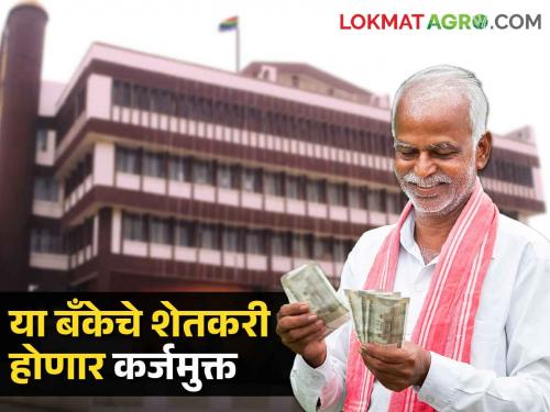 30 thousand farmers of this district bank will be loan free, this scheme was implemented | DCC Bank या जिल्हा बँकेचे ३० हजार शेतकरी होणार कर्जमुक्त; राबविली ही योजना