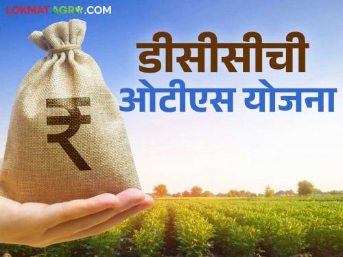 DCC Bank's this scheme is proving beneficial for the farmers in arrears in this district | थकीत कर्जदार शेतकऱ्यांसाठी डीसीसी बँकेची ही योजना ठरतेय फायदेशीर