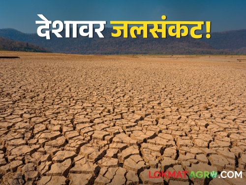 Water crisis in half of the districts in the country by 2050, these three crops use the most water | देशात निम्म्या जिल्ह्यांत २०५० पर्यंत जलसंकट, या तीन पिकांसाठी सर्वाधिक वापरले जाते पाणी