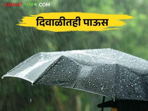 Maharashtra Weather Update : Cyclone will affect the state This year also in Diwali there will be rain | Maharashtra Weather Update : चक्रीवादळाचा परिणाम राज्यावर होणार यंदा दिवाळीतही पाऊसधारा बरसणार