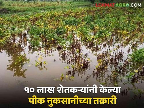 Crop Damage: Heavy loss of crops due to rain! Complaints for crop insurance made by 10 lakh farmers in the state | Crop Damage : पावसामुळे पिकांचे मोठे नुकसान! राज्यातील १० लाख शेतकऱ्यांनी केल्या पिक विम्यासाठी तक्रारी