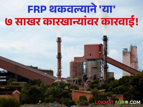 Sugarcane Factory FRP Sugar Commissionerate action against 7 sugar factories due to default of FRP amount! | Sugarcane Factory FRP : FRPची रक्कम थकवल्याने ७ साखर कारखान्यांवर साखर आयुक्तालयाकडून कारवाई!