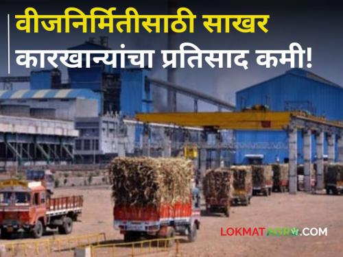 Solar Energy Little response from sugar mills to solar energy project! An income of one crore per year can be obtained | Solar Energy : सौरउर्जा प्रकल्पाला साखर कारखान्यांकडून अल्प प्रतिसाद! मिळू शकते वार्षाकाठी एका कोटींचे उत्पन्न