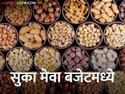 In winter, the price of dry fruits has decreased, the demand has also increased! | ऐन हिवाळ्यात सुका मेव्याच्या दरात घट, मागणीतही झाली वाढ !