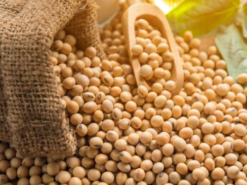 Why are soybeans marketed on the street? Farmers are upset | विक्रीस आणलेले सोयाबीन रस्त्यावर कशामुळे? शेतकरी नाराज