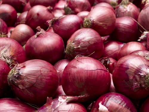 What is the market price of onion in the state today? Find out... | राज्यात आज कांद्याला काय बाजारभाव मिळाला? जाणून घ्या...