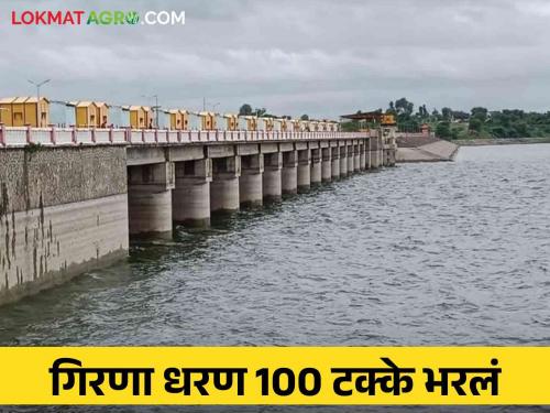 Latest News jalgaon Girna Dam 100 percent full, dam filled 13 times in 55 years  | Girna Dam : गिरणा धरण 100 टक्के भरलं, 55 वर्षांत 13 वेळा धरण भरले, वाचा सविस्तर