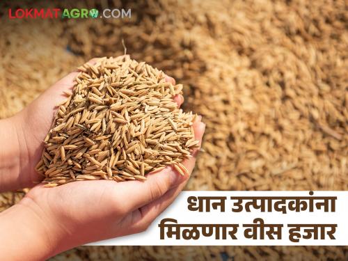 Registered farmers will get twenty thousand rupees per hectare whether they sell paddy or not | नोंदणीकृत शेतकऱ्यांनी धान विक्री केली असो किंवा नसो प्रती हेक्टरी मिळणार इतकी मदत