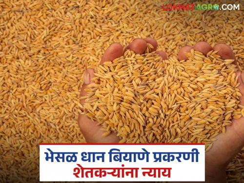 latest news Dhan Biyane Case: Farmers suffer losses due to adulterated seeds; Order to pay compensation of Rs 7.46 lakh! | Dhan Biyane Case : भेसळ बियाण्याने शेतकऱ्यांचे नुकसान; ७.४६ लाख भरपाईचा आदेश!